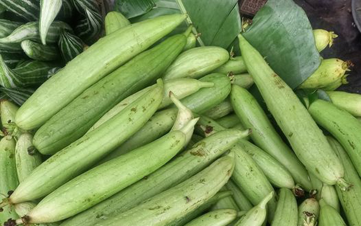 Liệu pháp tự nhiên phòng chữa chứng chảy máu mũi tại nhà