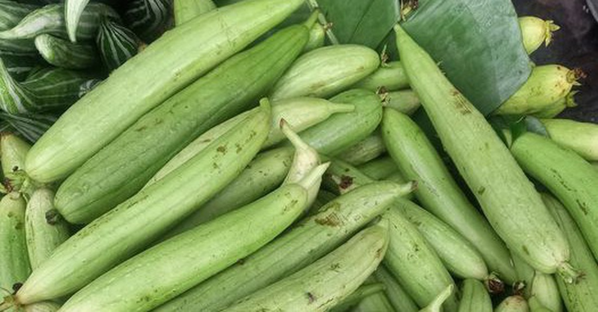 Liệu pháp tự nhiên phòng chữa chứng chảy máu mũi tại nhà