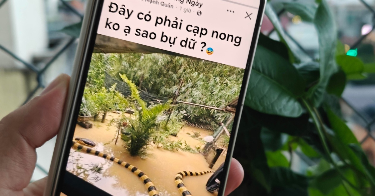 Từ hình ảnh, video đến ca khúc AI: Cẩn trọng 'cơn lốc' nội dung AI trên mạng xã hội