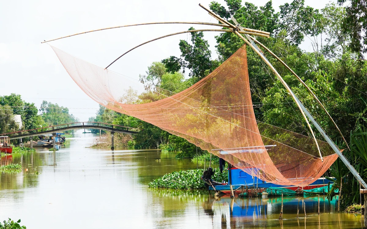 Dân miền Tây cất vó đón luồng cá đồng ra sông trong mùa nước nổi