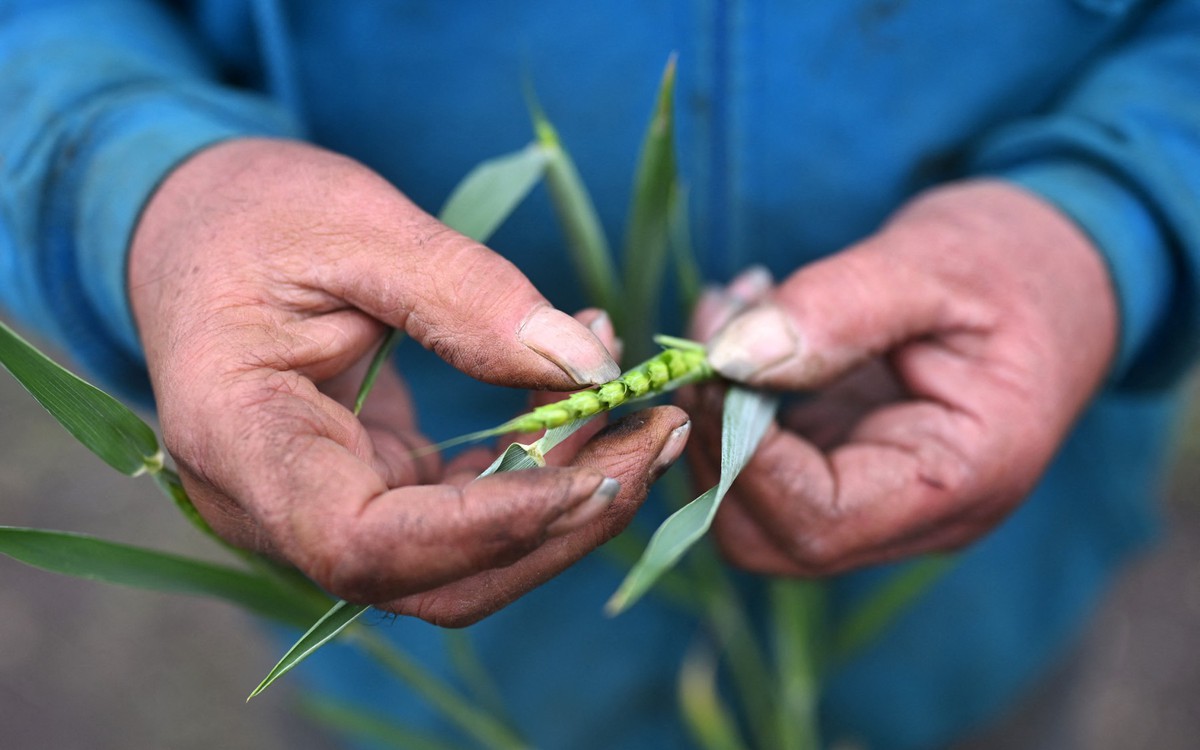 Nông dân châu Âu khủng hoảng vì giá nông sản lao dốc