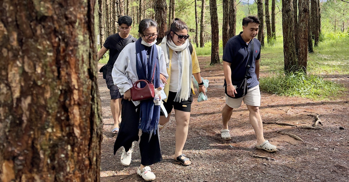 Du lịch Việt Nam sắp lập kỷ lục mới, Gen Z xem mỗi chuyến đi là 'thành tựu cá nhân'