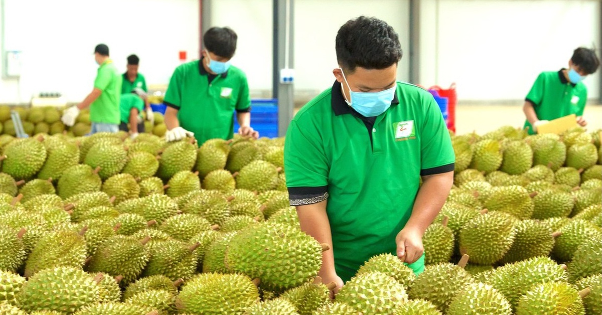 Từ 2026 truy xuất nguồn gốc tất cả nông sản, bán trái cây chứa chất cấm sẽ bị xử lý