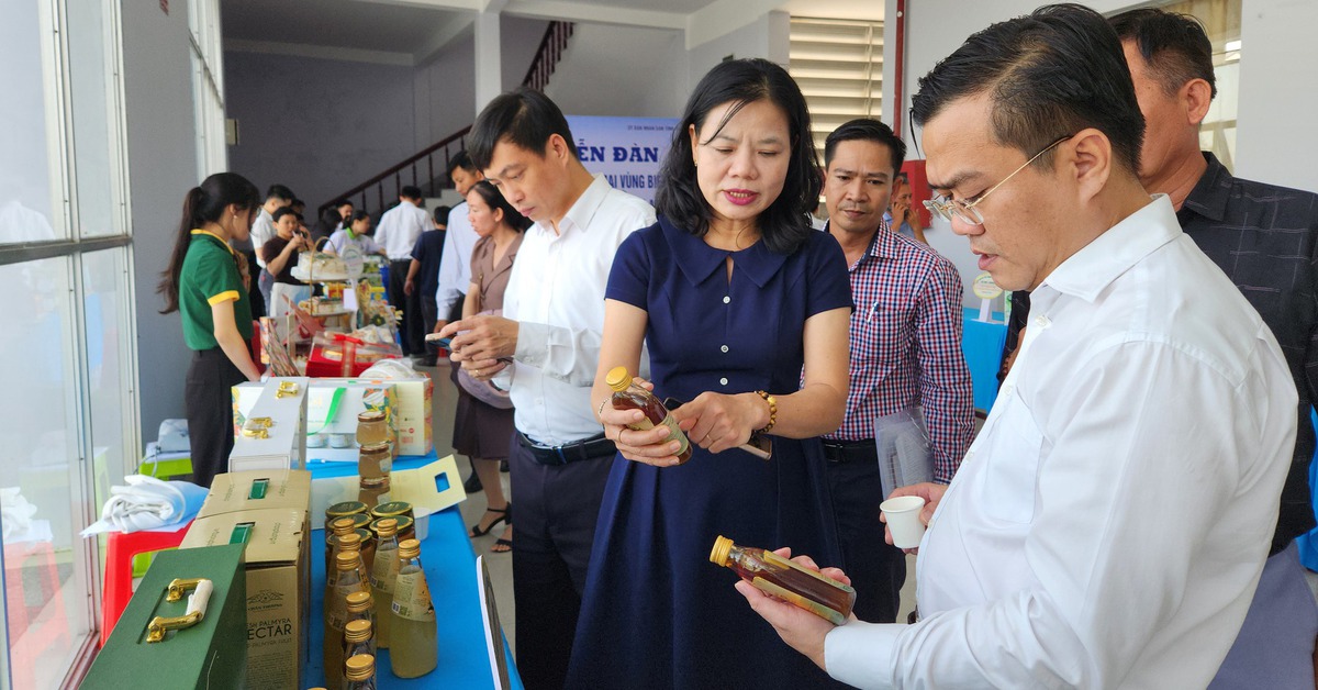 Xuất nhập khẩu hàng hóa An Giang - Campuchia tăng 12,7%/năm