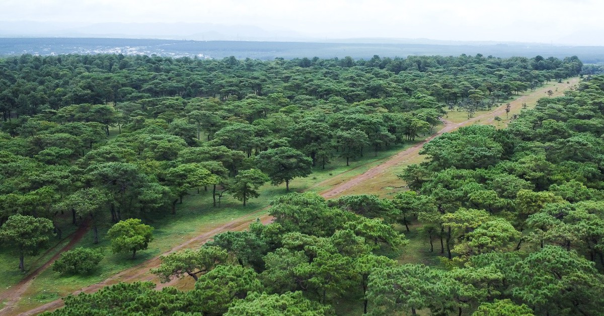 Dự án sân golf Đak Đoa được tỉnh Gia Lai mời nhà đầu tư quan tâm trở lại