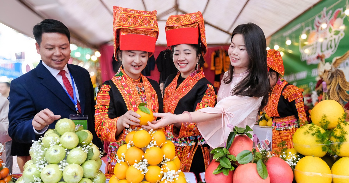 Từ vùng vải thiều, nông dân Bắc Ninh 'quay xe' trồng cam, bưởi VietGAP thu tiền tỉ