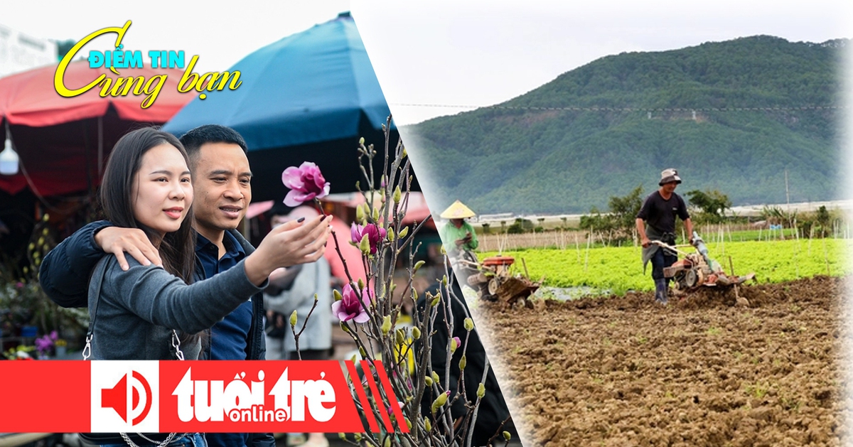 Điểm tin 18h: Không để TP.HCM thiếu rau Tết; Chơi hoa sớm đón Tết