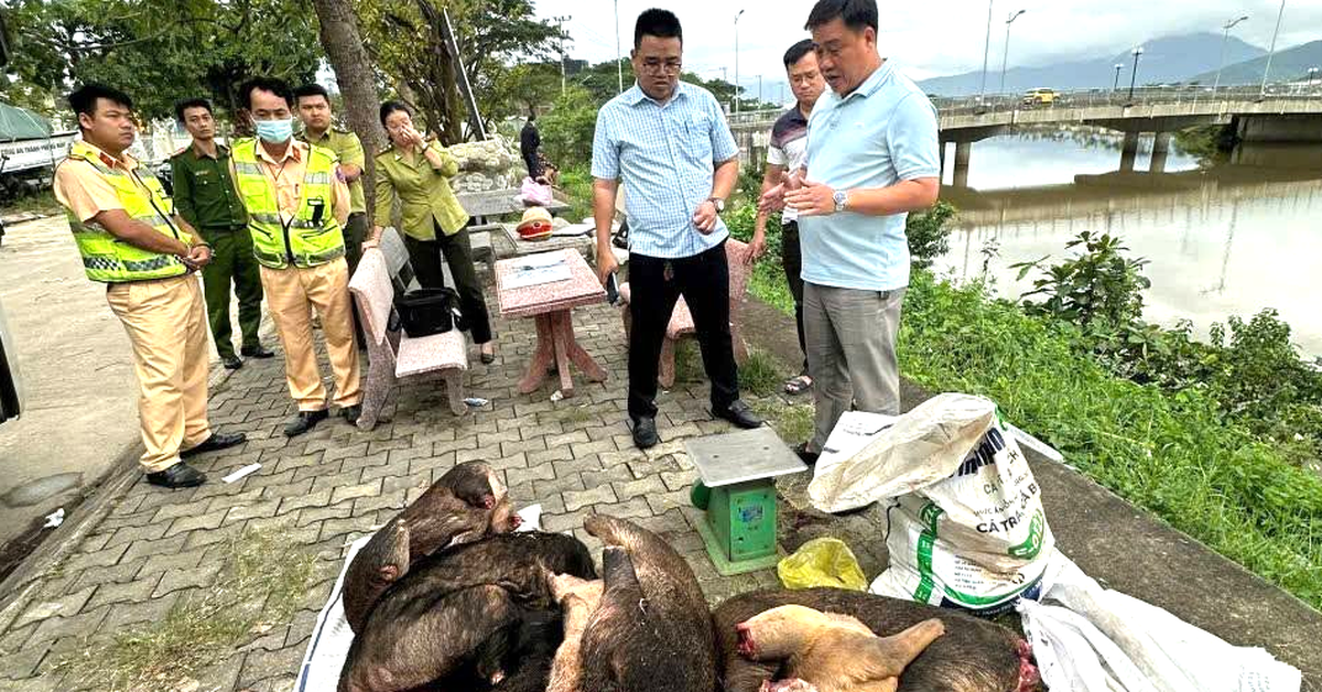 Phát hiện xe khách chở hàng loạt thùng xốp, bao tải nghi thịt động vật hoang dã