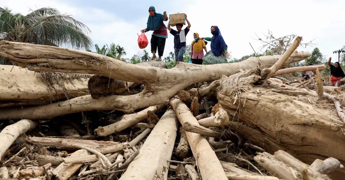 Indonesia thu hồi hàng chục giấy phép lâm nghiệp sau thảm họa lũ quét ở Sumatra