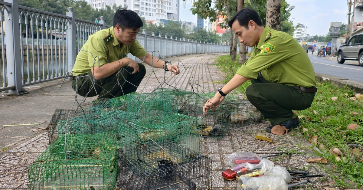 Tháo gỡ hàng loạt lồng bẫy kèm máy phát dụ bắt chim bên kênh Nhiêu Lộc - Thị Nghè