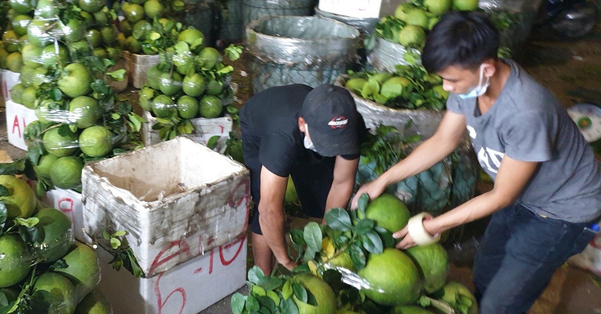 Nước ép bưởi: Đồ uống giàu vitamin, khoáng chất