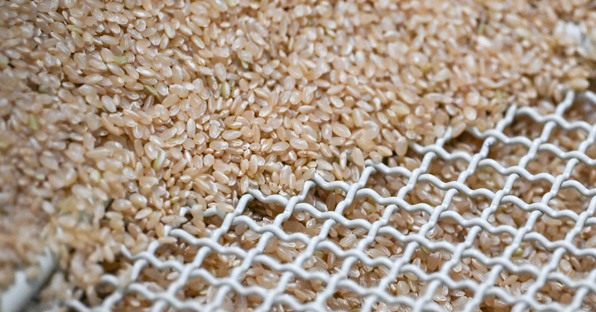 Cặp đôi vợ Việt, chồng Nhật bị cáo buộc nhập lậu hàng trăm tấn gạo kiếm lời