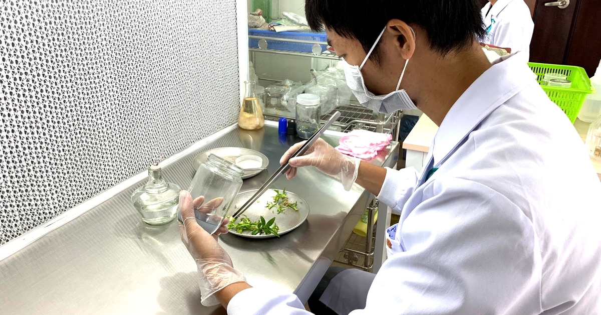 69 nhà khoa học xuất sắc từ nhiều nước về làm việc tại Đại học Quốc gia TP.HCM