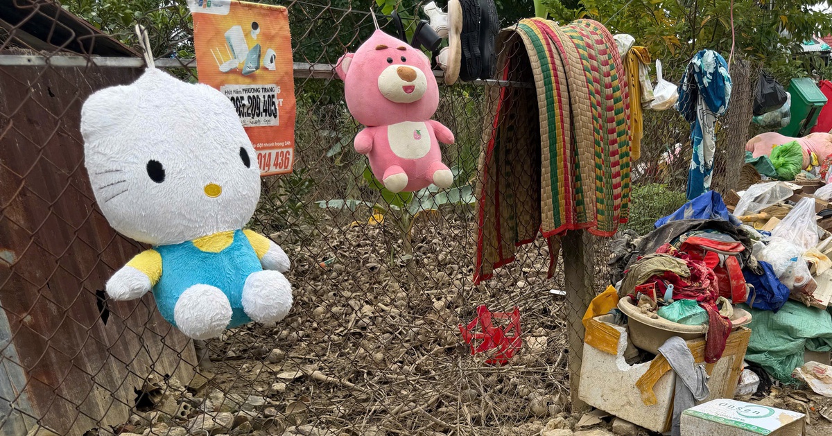 Hồi sinh sau lũ: Người đàn ông 'nổi tiếng' trên mạng do mặc áo... nữ nay thành người dẫn đường