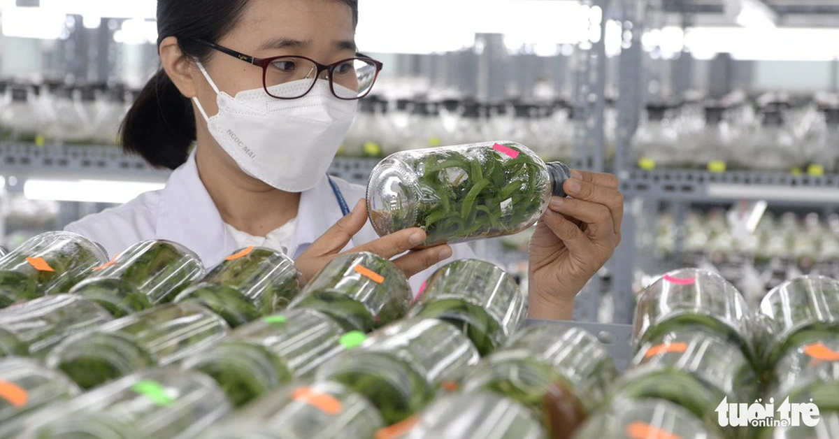 Khoa học và công nghệ mở ra cơ hội cách mạng mới trong nông nghiệp