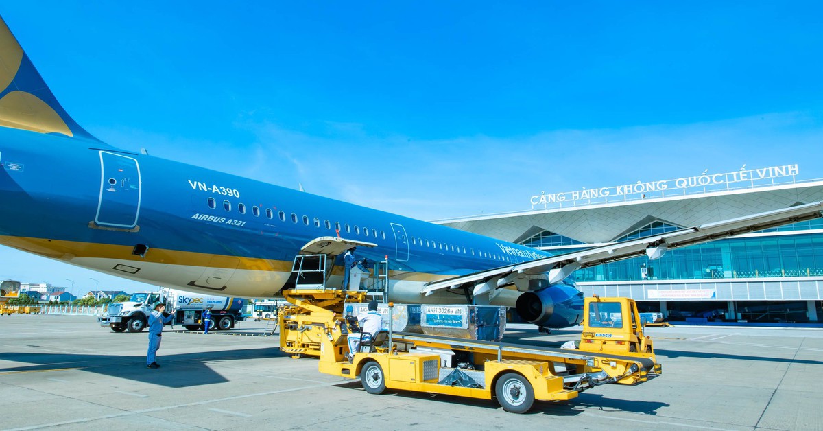 Vietnam Airlines khôi phục bay thường lệ tại sân bay Vinh từ 19-12, vé Tết lại 'nóng rực'