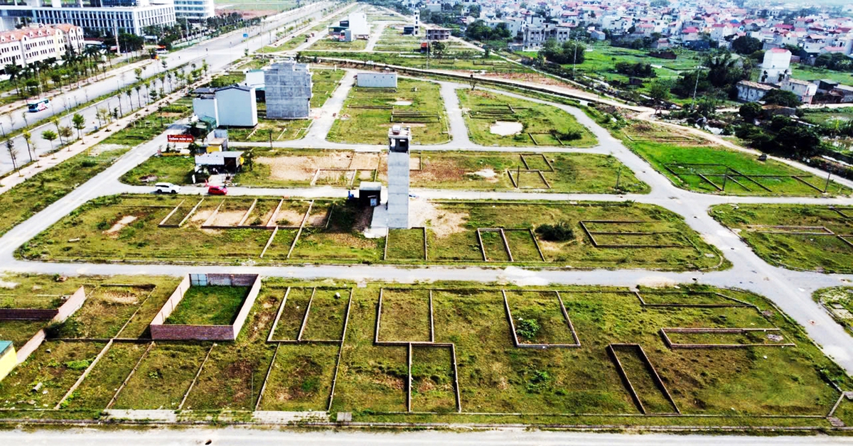 Tin tức sáng 21-12: Quy định mới về bảng giá đất; Côn Đảo sắp có tuyến buýt điện đầu tiên