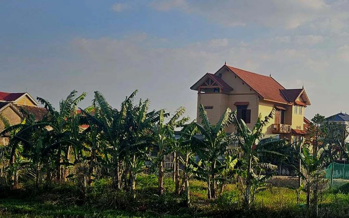 Tổ dân phố cho cựu bí thư xã thuê đất giá 500.000 đồng/năm, quy định cho thuê đất công ra sao?