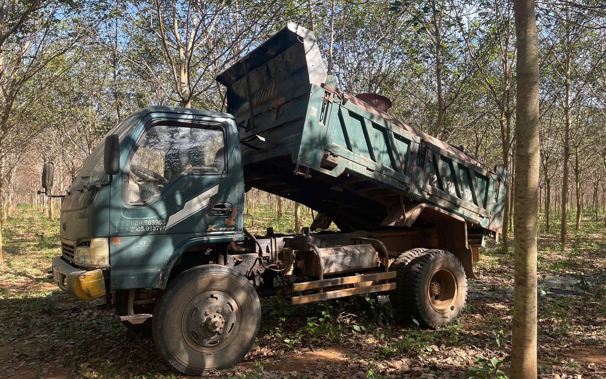 Bị bắt quả tang khi mang phân heo đi đổ bậy