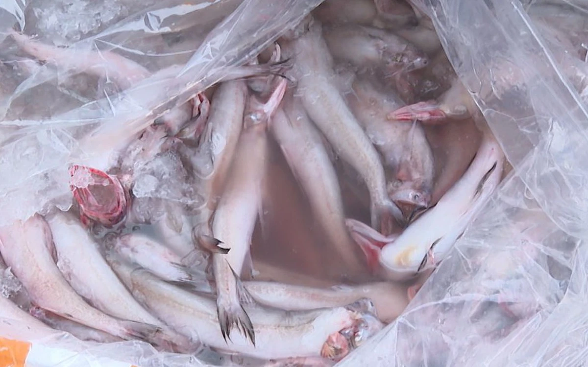 Cá khoai chứa formol nguy hại thế nào đến sức khỏe?