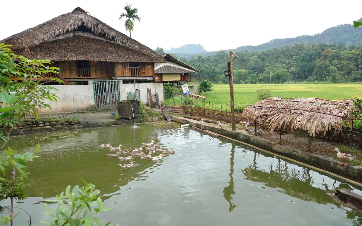 Nồi thịt kho thơm nồng mái nhà cũ