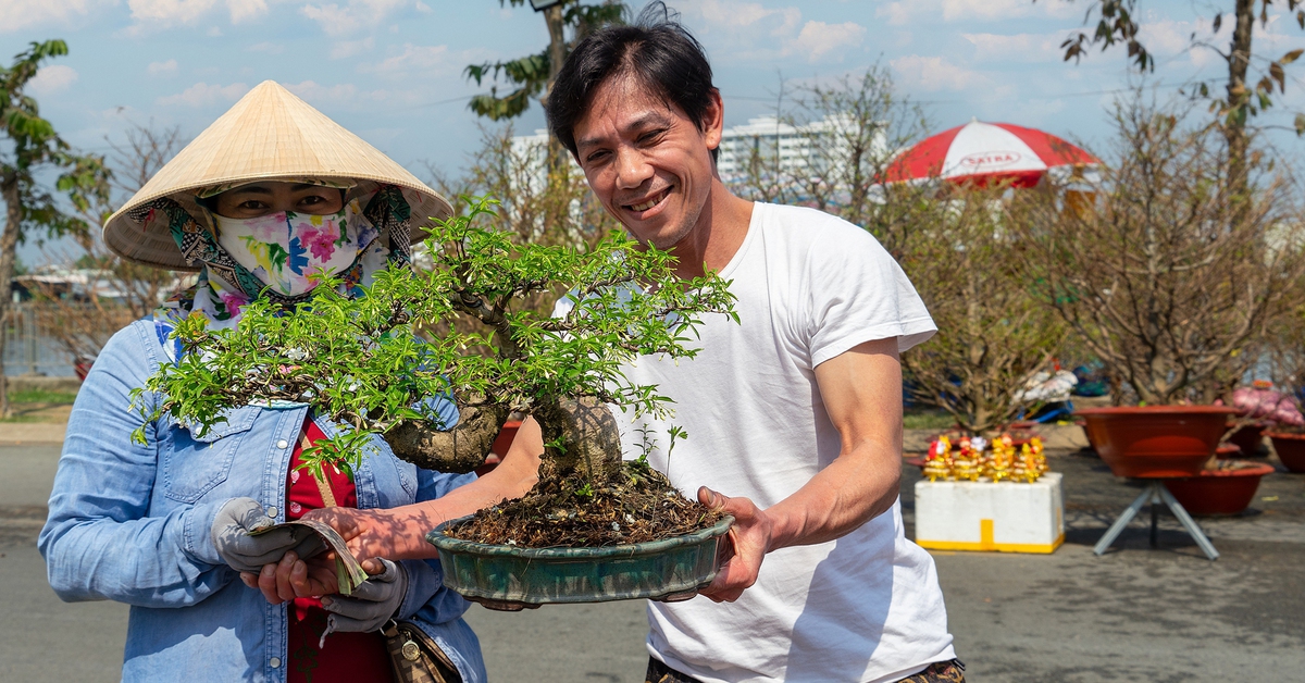 Chợ hoa xuân Bình Điền Bính Ngọ 2026: Điểm đến sắc xuân, vui Tết, mua sắm hấp dẫn