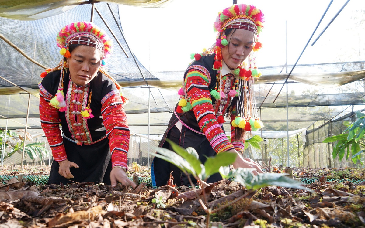Đừng nhìn dân tộc thiểu số, miền núi là nghèo nàn, lạc hậu