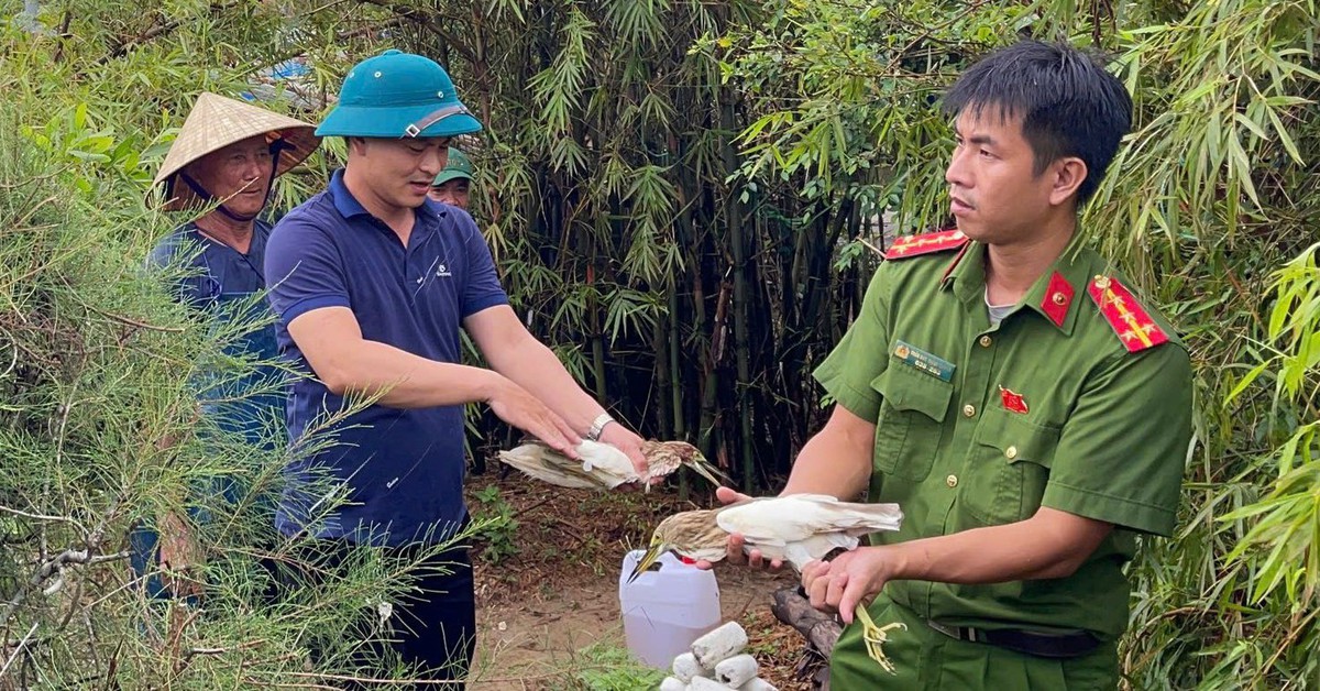 Hà Tĩnh tháo dỡ ‘ma trận’ bẫy chim trời, thu giữ hàng chục ngàn dụng cụ đánh bắt