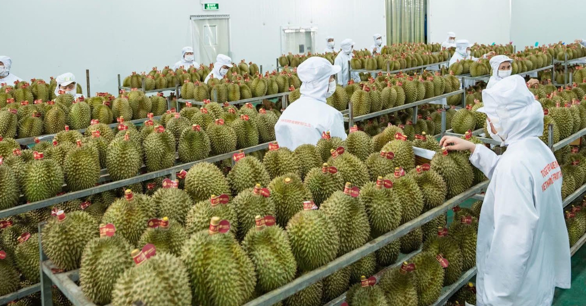 Xuất khẩu nông lâm thủy sản lập kỷ lục mới sau 11 tháng