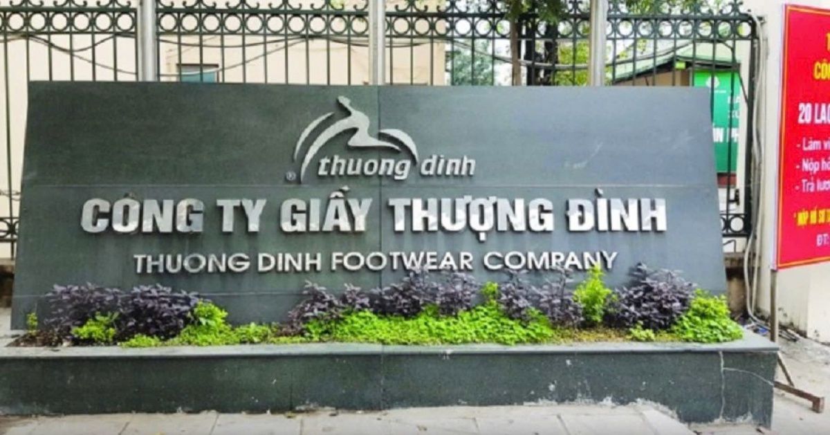 Ban lãnh đạo Giày Thượng Đình giải trình khi cổ phiếu 12 phiên kịch trần