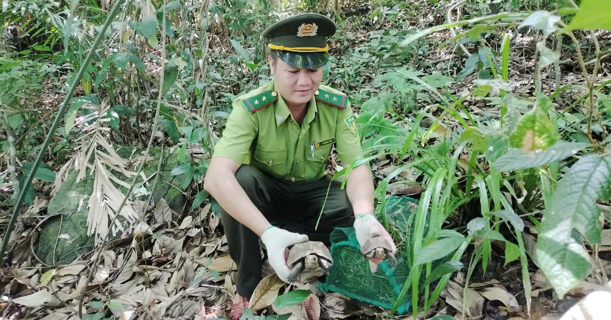 Vườn quốc gia Bạch Mã được công nhận Vườn Di sản ASEAN