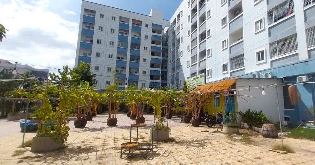 Phớt lờ xử phạt, doanh nghiệp lấn chiếm tại chung cư D7-D10 bị cảnh báo phong tỏa tài sản