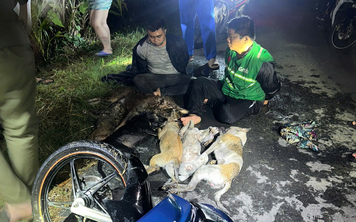 Bắt hai người cầm súng 'gặp chó trộm chó, gặp mèo trộm mèo'