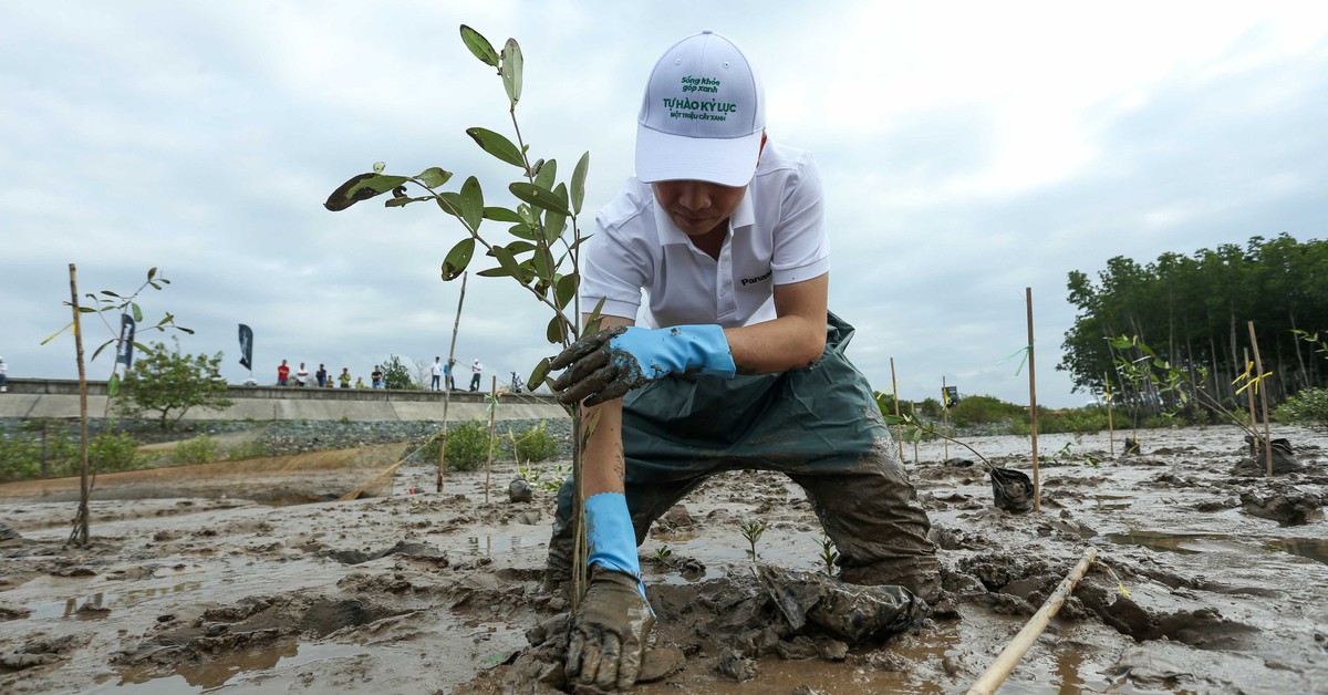 Việt Nam trồng 1,4 tỉ cây xanh sau 5 năm, đóng góp quan trọng cho nỗ lực ứng phó biến đổi khí hậu