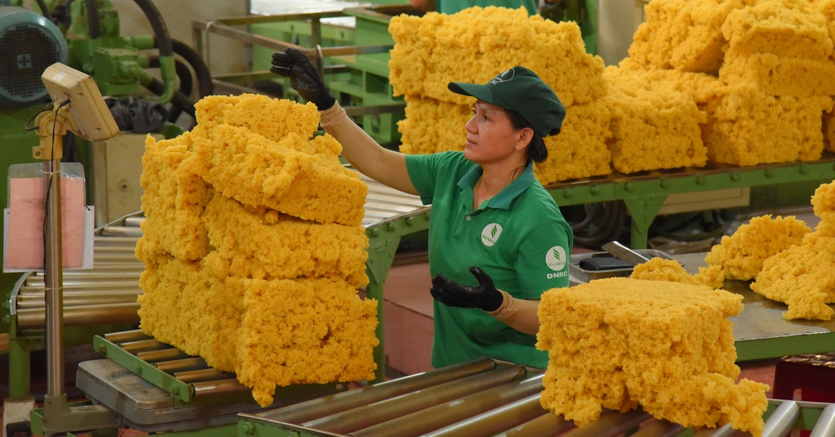 Tập đoàn Công nghiệp Cao su Việt Nam đặt mục tiêu doanh thu hơn 33.400 tỉ đồng năm 2026