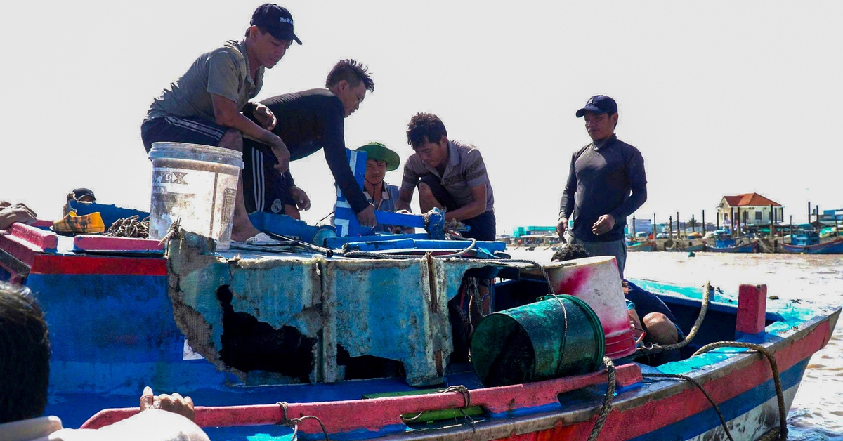 Bình Thuận lũ rút chậm, người dân gượng dậy sau hai 'đòn nước' dữ