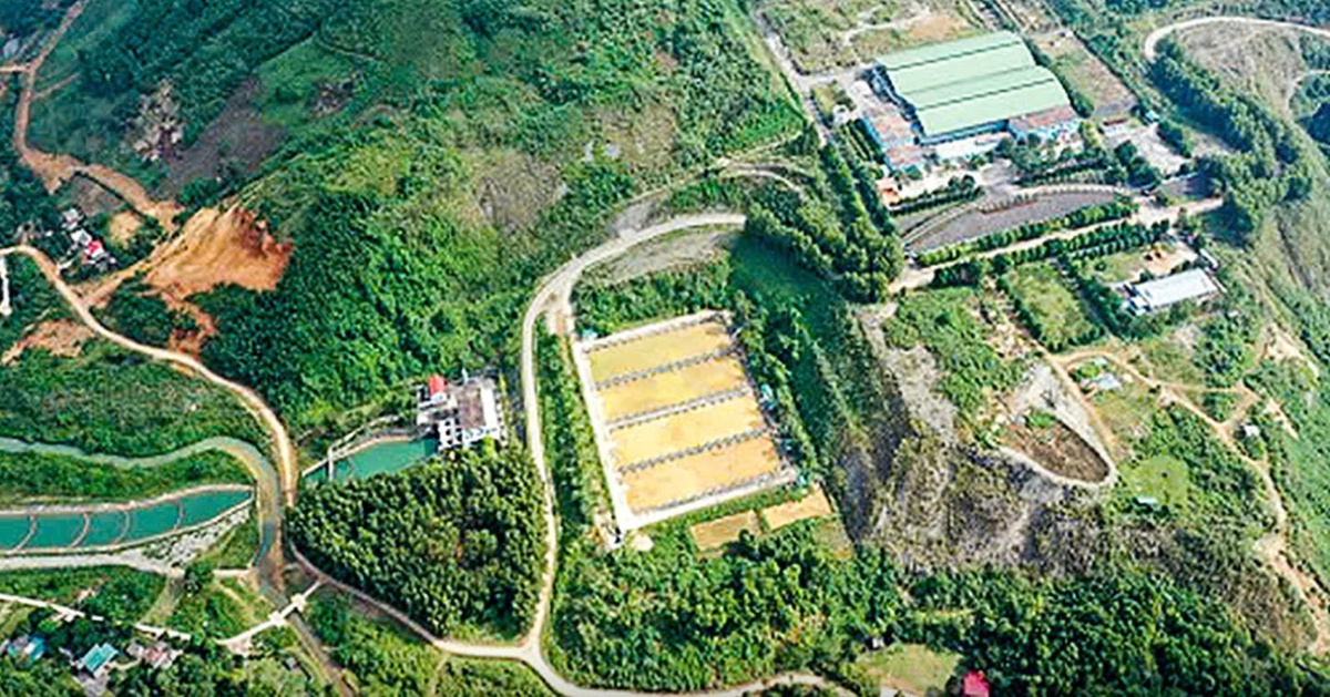 Ủy ban Chứng khoán hủy tư cách đại chúng với Nước sạch Sông Đà và Bibica