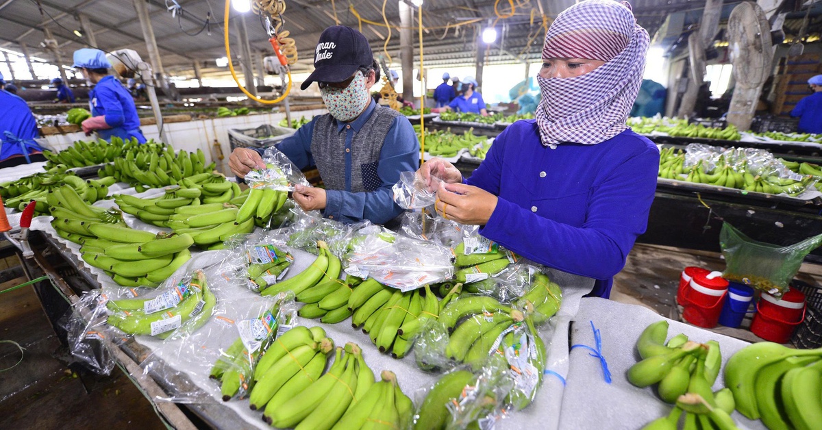 Tây Ninh là điểm đến mới của ngành chế biến sâu, thực phẩm chất lượng cao