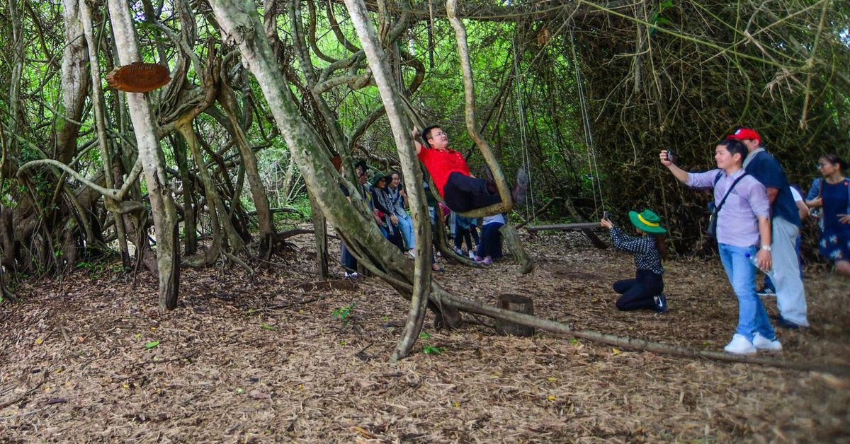 Tây Ninh mới: một trục, một dòng chảy