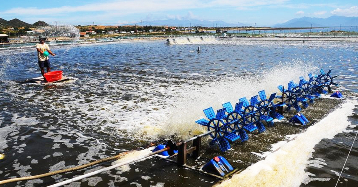 Gỡ bất cập thuế VAT cho nông nghiệp