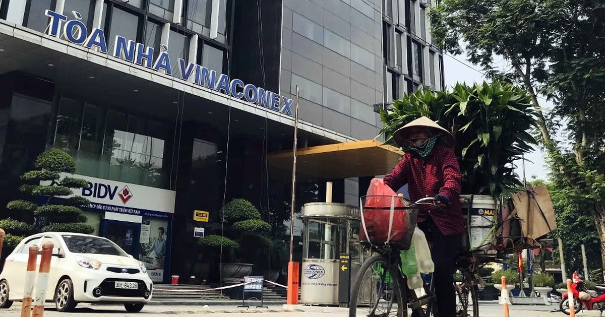 Viwaseen mà Vinaconex bỏ nghìn tỉ để thâu tóm: Doanh thu hàng trăm tỉ, nắm loạt lô đất vàng