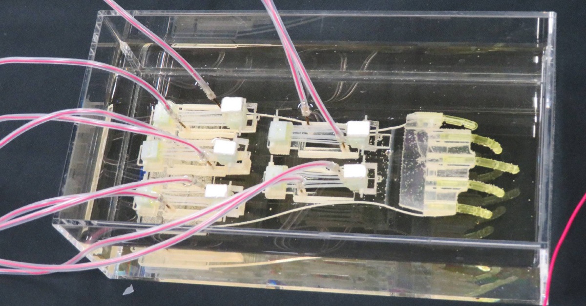 Bàn tay robot 'lai sinh học' lớn nhất thế giới