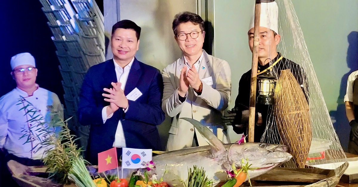 Tuy Hòa bắt tay với quận của Hàn Quốc tìm hướng xuất khẩu cá ngừ đại dương
