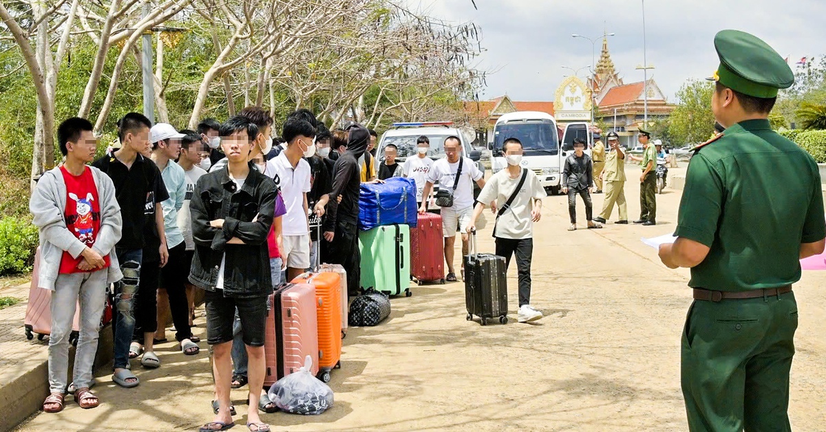 tuoitre.vn