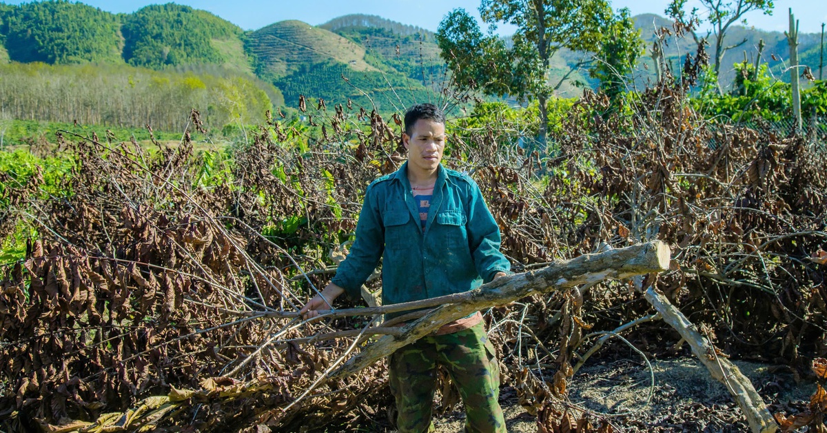 tuoitre.vn