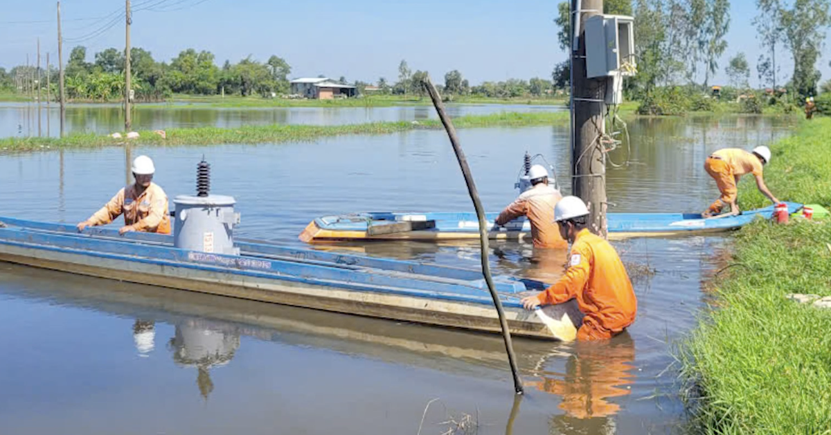 Cuộc thi clip "50 năm - Tỏa sáng miền Nam": 10 năm điện về vùng đất U Minh