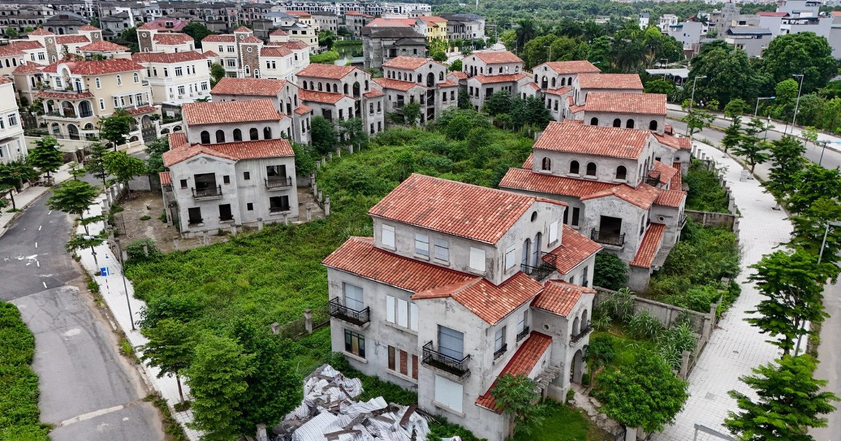 Từ những biệt thự triệu đô "bỏ hoang"