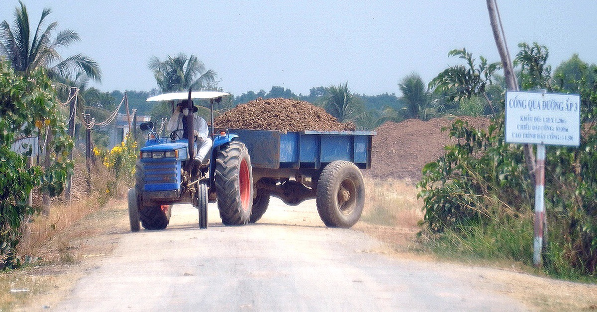 Khai thác đất mặt ruộng tràn lan trong vùng ngọt hóa Gò Công