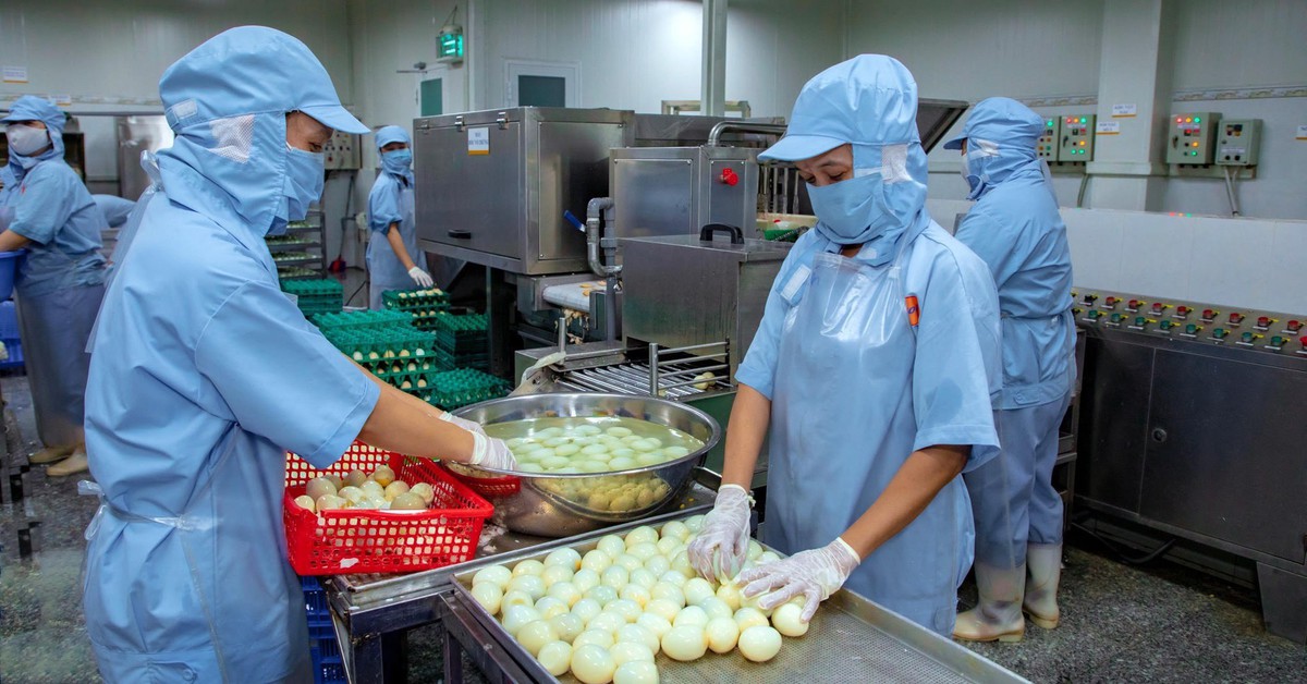 Không vào được Mỹ, trứng gà Việt Nam đã 'lên bàn ăn' thị trường khác bằng cách nào?