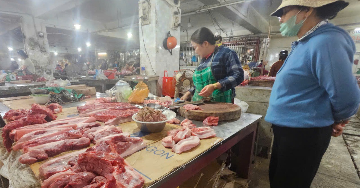 Giá heo giống tăng gấp ba, nhiều người nuôi thận trọng với việc tái đàn